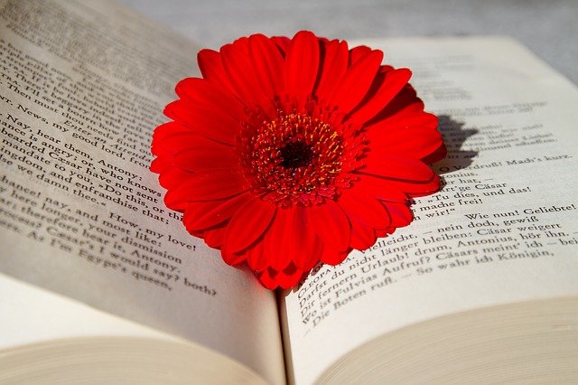 book 3259352 640